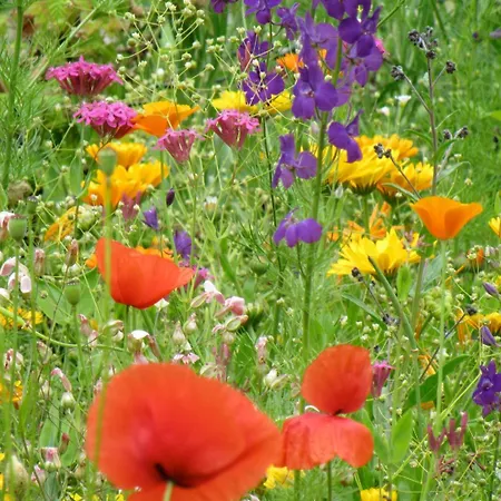 Haus Waldschmied Exclusiv Stall