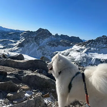 Haus Waldschmied Exclusiv *