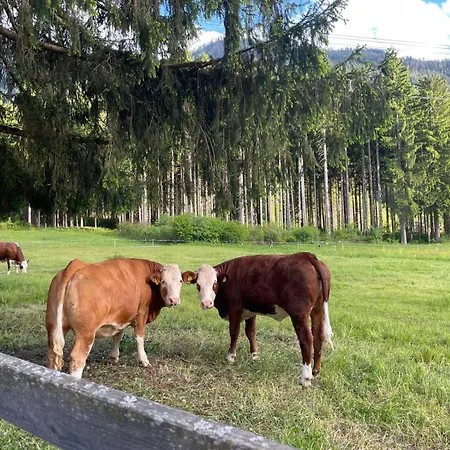 Haus Waldschmied Exclusiv * Stall