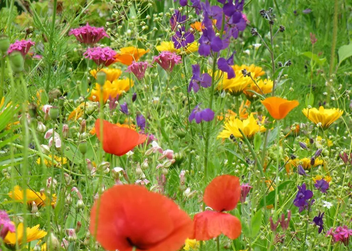 Haus Waldschmied Exclusiv Stall