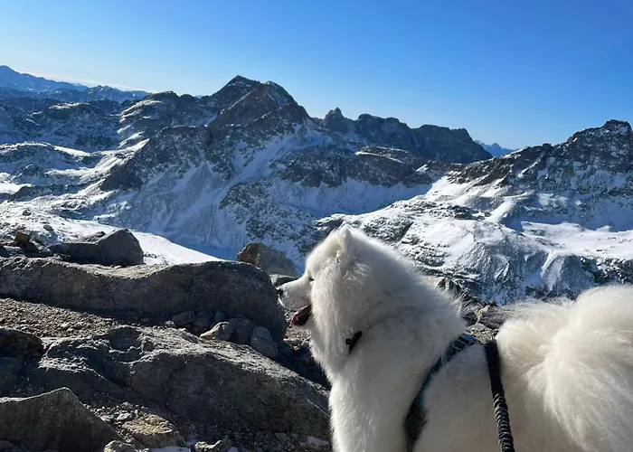 Haus Waldschmied Exclusiv *