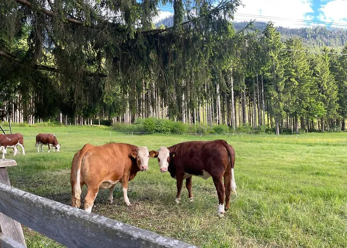 Haus Waldschmied Exclusiv * Stall