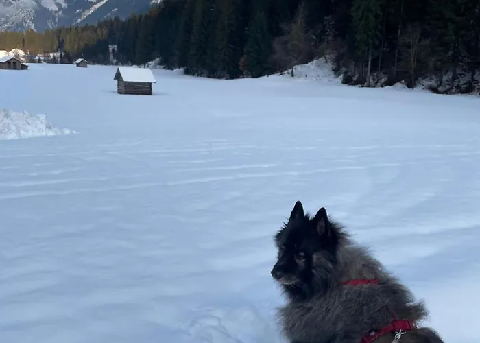 Haus Waldschmied Exclusiv Dom wakacyjny