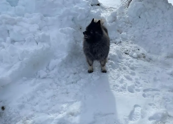 Ferienhaus Haus Waldschmied Exclusiv