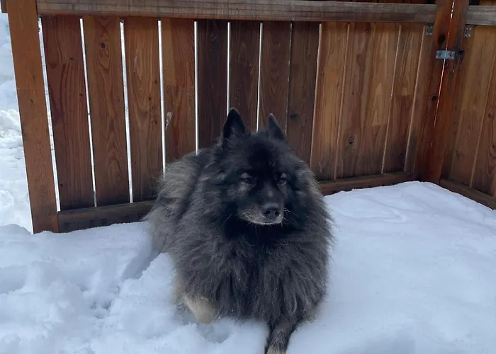 Ferienhaus Haus Waldschmied Exclusiv *