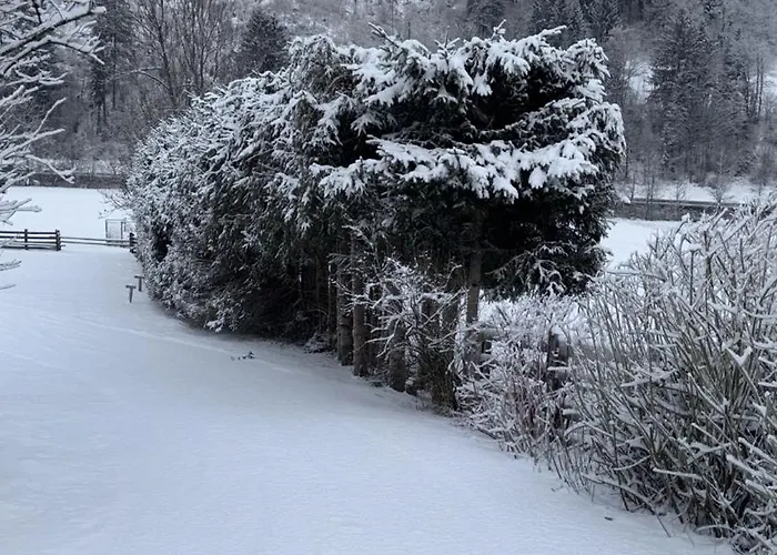 Haus Waldschmied Exclusiv Dom wakacyjny Stall